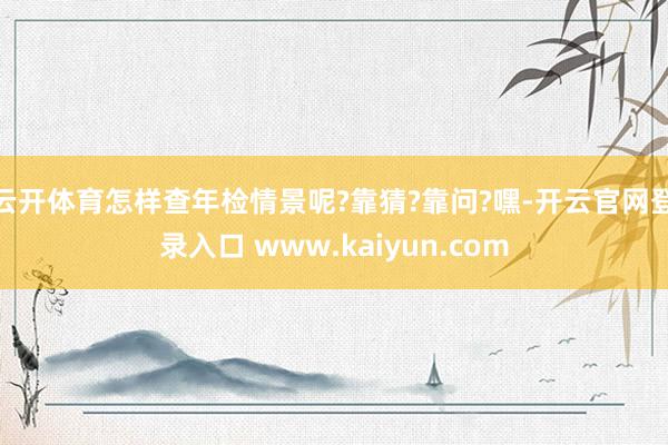 云开体育怎样查年检情景呢?靠猜?靠问?嘿-开云官网登录入口 www.kaiyun.com